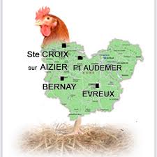 Poule aux Oeufs d'Eure